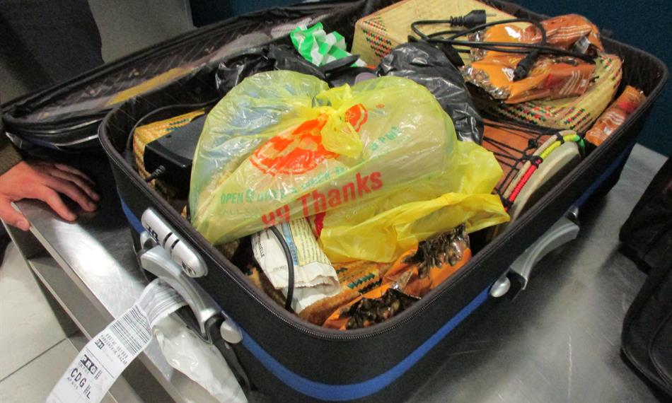 2016-6-3-137foto 2.JPG